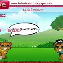 ���� ������, ����, 26 ��� - ��������� 20 �������� 2010 � ������ �PetLove�