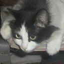 ����� �� ������� ���� ����������