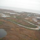 ���� ������, ����, 42 ���� - ��������� 31 ������� 2011 � ������ �� � ��� �������