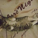 ���� ������, ������, 45 ��� - ��������� 23 ������� 2011 � ������ ���