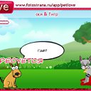  , , 38  -  15  2010   PetLove