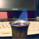 ���� ������� Cat's., �����, 43 ���� - ��������� 3 ������ 2012 � ������ ����� �������� ������