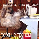 ���� �����, ����������, 66 ��� - ��������� 26 ������� 2010 � ������ �������