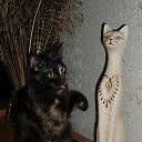 ���� �������, ��������, 71 ��� - ��������� 8 ������ 2011