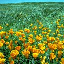 ���� �������, ��������, 57 ��� - ��������� 1 ��� 2010 � ������ ������� ��������