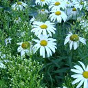 ���� ������, ������, 32 ���� - ��������� 24 ������ 2009 � ������ �...�