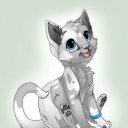 ���� �����, ������ ��������, 29 ��� - ��������� 19 ������� 2011 � ������ �PetLove�