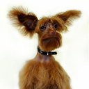 ���� Sandr�, �������, 40 ��� - ��������� 10 ����� 2013 � ������ ���� ����������