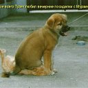   D* Tuta,  -  10  2009     