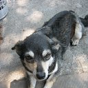 ���� �����, ������ - ��������� 12 ���� 2010 � ������ ���������