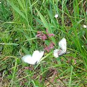 ���� ������, ������ - ��������� 13 ������� 2012 � ������ �������