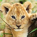 ���� ����, �������, 30 ��� - ��������� 26 ��� 2013 � ������ ���� ����������