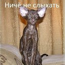 ���� �����, ������� - ��������� 4 ���� 2013 � ������ ������� ���� �������)))�