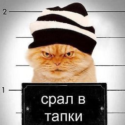 ���� ������, ��������, 68 ��� - ��������� 10 ������ 2013