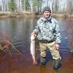 ���� ����, ���, 50 ��� - ��������� 23 ��� 2012