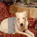 ���� ������, ����-�������, 41 ��� - ��������� 4 ������� 2010 � ������ ���� ��������