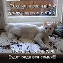 ���� ~Ann&ramosh~, ���������� - ��������� 2 ������� 2009 � ������ ���������