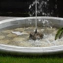 ���� ����, �����-���������, 52 ���� - ��������� 20 ������ 2010 � ������ ���� ����������