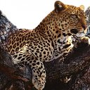 ���� Svetlana, ������������ - ��������� 20 ���� 2012