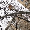 ���� ��������, ������ - ��������� 8 ����� 2011 � ������ �����-���