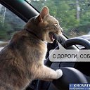 ���� ���������, ���������, 66 ��� - ��������� 18 ���� 2011 � ������ �������