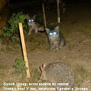 ���� ������� ��������, ������, 35 ��� - ��������� 20 ����� 2011 � ������ ������������