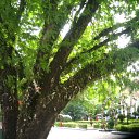 ���� �������������, �����-��������� - ��������� 4 ������� 2009 � ������ �����