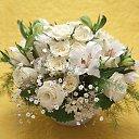 ���� �����, ������, 62 ���� - ��������� 14 ���� 2013 � ������ ���� ���������