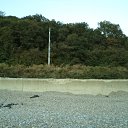 ���� �������, ������������, 43 ���� - ��������� 28 ������� 2012 � ������ ���� ����������