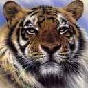 ���� ������, �������, 51 ��� - ��������� 24 ������� 2011 � ������ �������