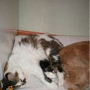 ���� �������, ��������� - ��������� 17 ���� 2011 � ������ ���� ���������