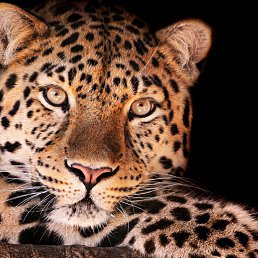 ���� �����, ���������, 24 ���� - ��������� 1 ������ 2013