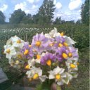 ���� Vlad, ������ - ��������� 22 ���� 2011 � ������ ��������