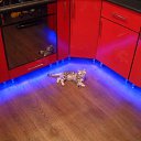 ���� ����, �������������� - ��������� 22 ���� 2013 � ������ ���� ����������