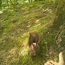 ���� �le�--������ �� "����",� � ���� �����)), ����� - ��������� 13 ��� 2012 � ������ ���� ����������