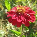 ���� ���������, ���������� - ��������� 5 ������� 2010 � ������ ���������� �����Ȼ