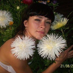 �����, �����, 42 ����