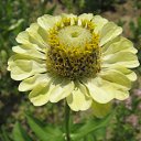 ���� ���������, ���������� - ��������� 5 ������� 2010 � ������ ���������� �����Ȼ