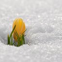 ���� ��������, ������-��-����, 57 ��� - ��������� 18 ������ 2013 � ������ ������ ��������