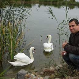 �������, ������