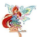  , , 24  -  15  2009   Winx