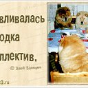 ���� ���� �������������, ���������� - ��������� 2 ������� 2013 � ������ ��������� -������