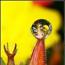 ���� ������, ������, 34 ���� - ��������� 26 ��� 2010 � ������ ����� � ��������