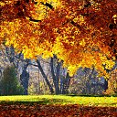 ���� �����, ����� - ��������� 29 ������ 2013 � ������ ����� �� ������� ���˻