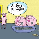 ���� �������, ��������, 38 ��� - ��������� 19 ������ 2011 � ������ �������