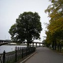 �� ���������� �� ������� ���������� ���������