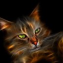 ���� Oksana, �����, 85 ��� - ��������� 11 ���� 2012 � ������ �������