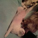 ����� � �������� �� ������� ���� ���������