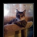 ���� ������, �����������-��-�����, 53 ���� - ��������� 12 ������� 2013