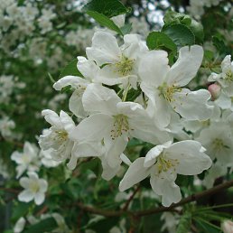 ���� ������, ����������� - ��������� 3 ������� 2013